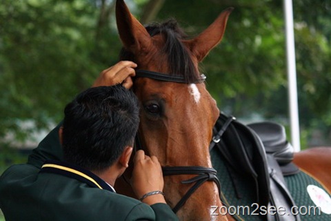 [IMG_4178_resize[5].jpg]