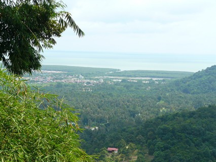 [P1050310_resize[3].jpg]