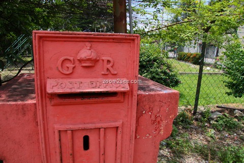 [IMG_8270_resize10.jpg]