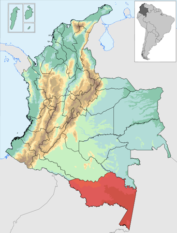 [457px-Colombia-deps-amazonas.svg[2].png]