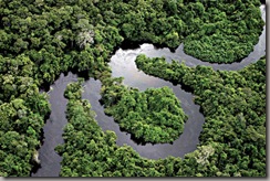 cuenca-amazonica
