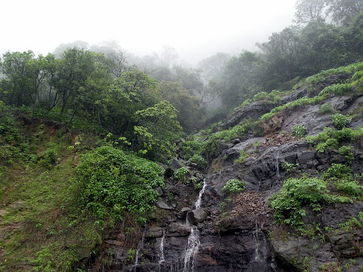 Image credit: http://lh5.ggpht.com/_2AVcwA4bxng/SmS4g6W2FVE/AAAAAAAAGrQ/eRh254tklYo/TahminiLonavalaMonsoonBiking.jpg