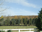  thanksgiving