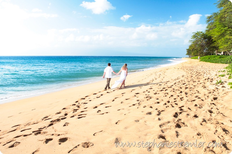 MauiWeddingPhotographer3-1-10Lisa&Eric-104