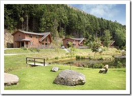 Peaceful and Quiet Woodland and Forest Location