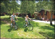 Relaxing Log Cabin Park Locations