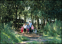 Countryside Woodlands to Explore