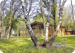 Log Cabins Cotswolds - Scenic Settings