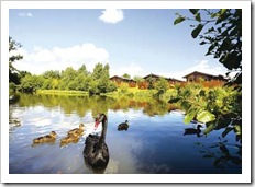 Log Cabins in Shropshire - Wonderful Countryside Locations Log Cabins in Shropshire - Wonderful Countryside Locations