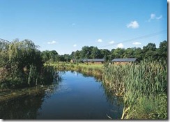 Log Cabins Forest of Dean Log Cabins Forest of Dean