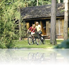 Self Catering Chalets Self Catering Chalets