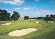 Leisure Activities to Enjoy