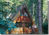 Log Cabins in Woodland Settings