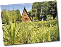 Stylish and Modern Log Cabin Accommodation