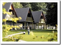 Modern and Stylish Lodges