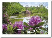 Beautiful Park Locations throughout the UK