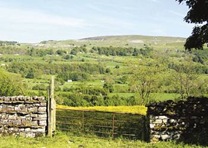 Stunning Countryside Views