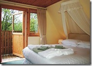 Stylish, Modern and Comfortable