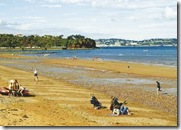Superb Beaches in Paignton