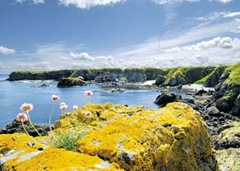 Stunning Coast and Countryside Locations