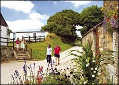 Static Caravan Holiday Parks in Cornwall Static Caravan Holiday Parks in Cornwall