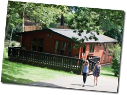 Lodge Park Holiday New Forest Lodge Park Holiday New Forest