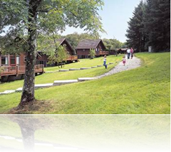 Luxury Lodge Holidays in North Cornwall Luxury Lodge Holidays in North Cornwall