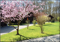 Stunning and Beautiful Log Cabin Park Settings