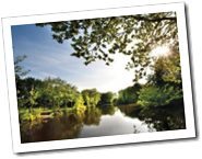 Lakeview Cottages - Bridgwater, Somerset