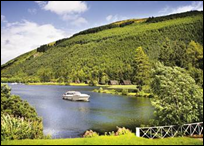 Forest Backdrop to the Lochside Log Cabins