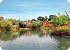 Fishing Lakes in Log Cabin Locations Across the UK