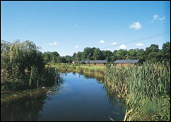 Ford Farm Lodges is a Picture Postcard Holiday Destination