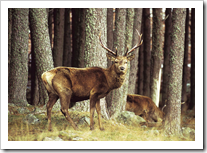 Discover Wildlife in the Nature Reserves