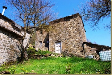42-Campo alle femmine 42-Campo alle femmine