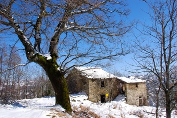 49-Le Busche 49-Le Busche