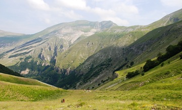 79-v.panico,m.rotondo 79-v.panico,m.rotondo