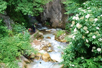 123-Fiume Tenna 123-Fiume Tenna