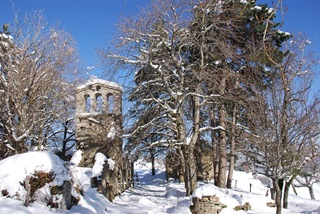 campanile e pioppi campanile e pioppi
