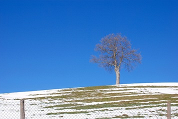 quercia 