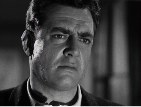 [Godzilla Raymond Burr worried[2].jpg]