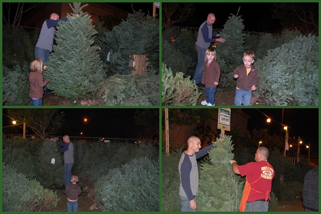 [December 2008[3].jpg]