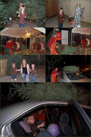 [December 20081[3].jpg]