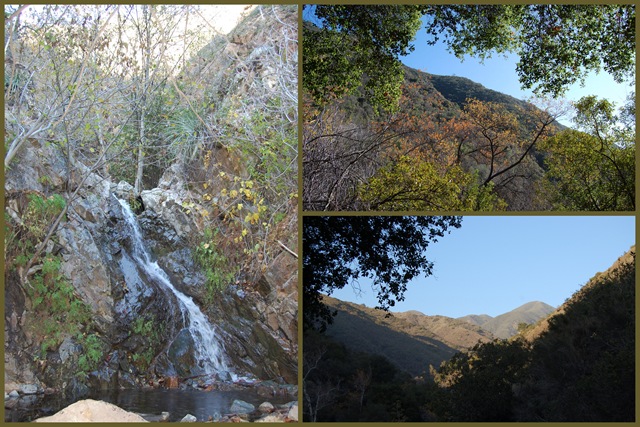 [Collages253.jpg]