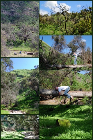 [Collages50[3].jpg]
