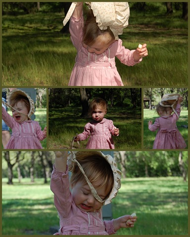 [Collages363.jpg]
