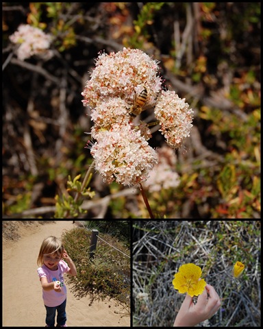 [Collages15[3].jpg]