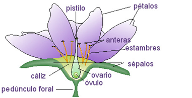 [image[3].png]