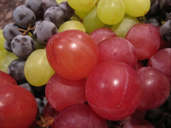 Grapes, Grapes & More Grapes