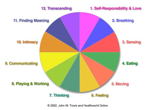 [WellnessWheel_465.jpg]