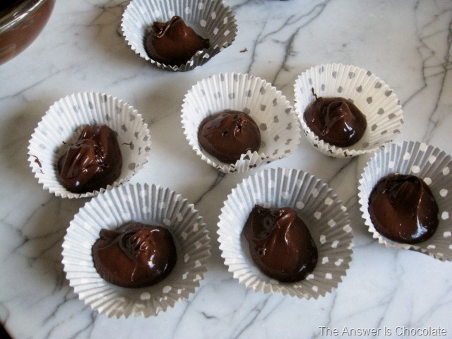 [Chocolate in Cupcake Liners[7].jpg]